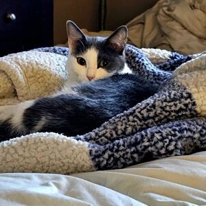 Keep an 👁 4 Sales!